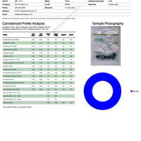 Blue Raspberry Hemp Delta-9 Gummies - Indica