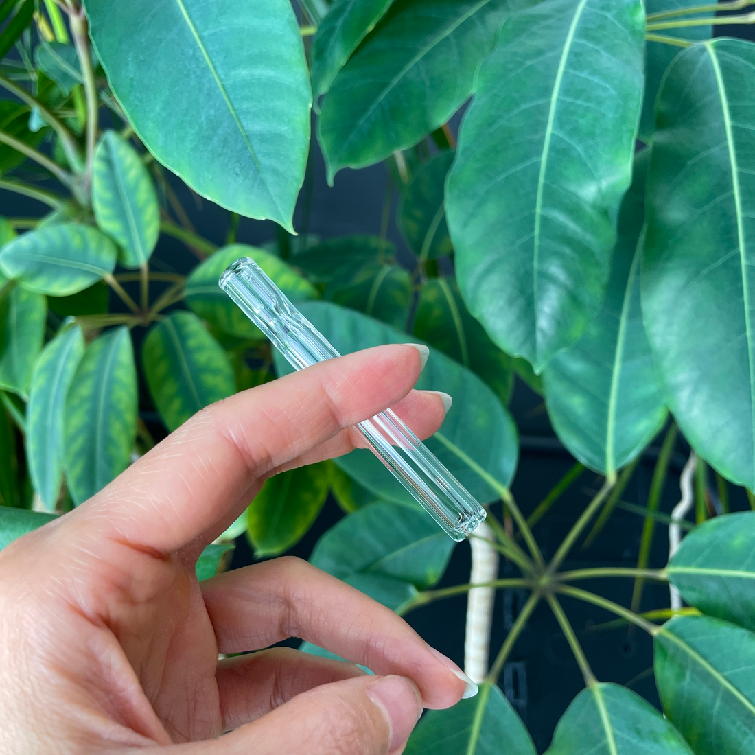 ohio valley glass 3 inch borosilicate glass mini one hitter bliss shop chicago