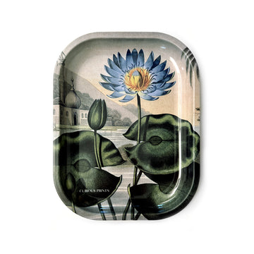 curious prints 5 by 7 inch metal rolling tray with vintage blue lotus and leaves design bliss shop chicago