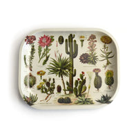 curious prints 5 by 7 inch small metal rolling tray with vintage cacti boho style bliss shop chicago