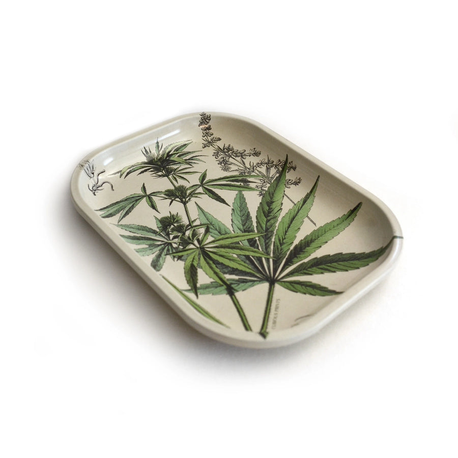 curious prints 5 by 7 inch small metal rolling tray with vintage cannabis leaf design bliss shop chicago