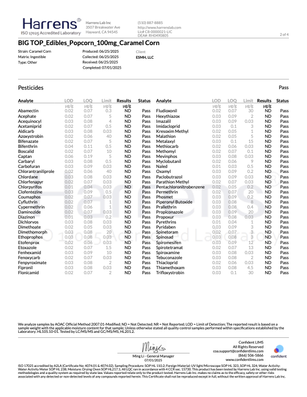 Caramel Popcorn - 100mg D9