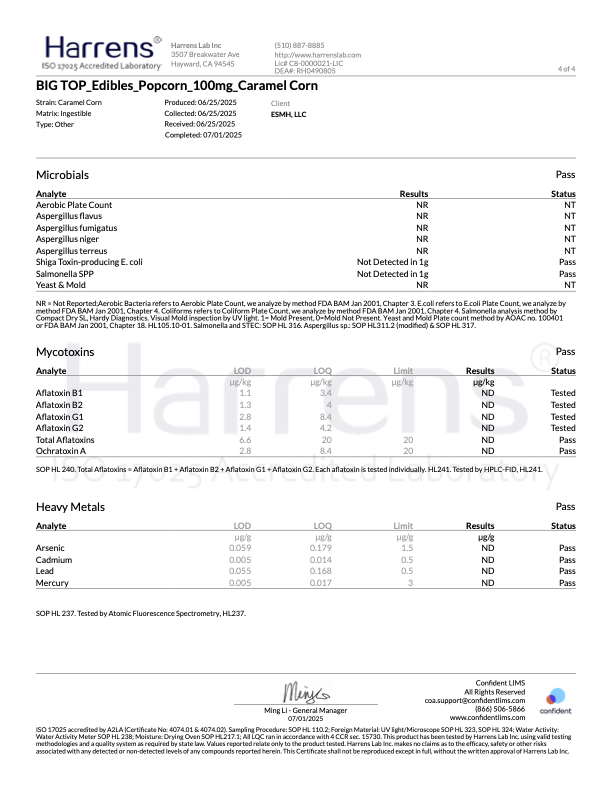 Caramel Popcorn - 100mg D9