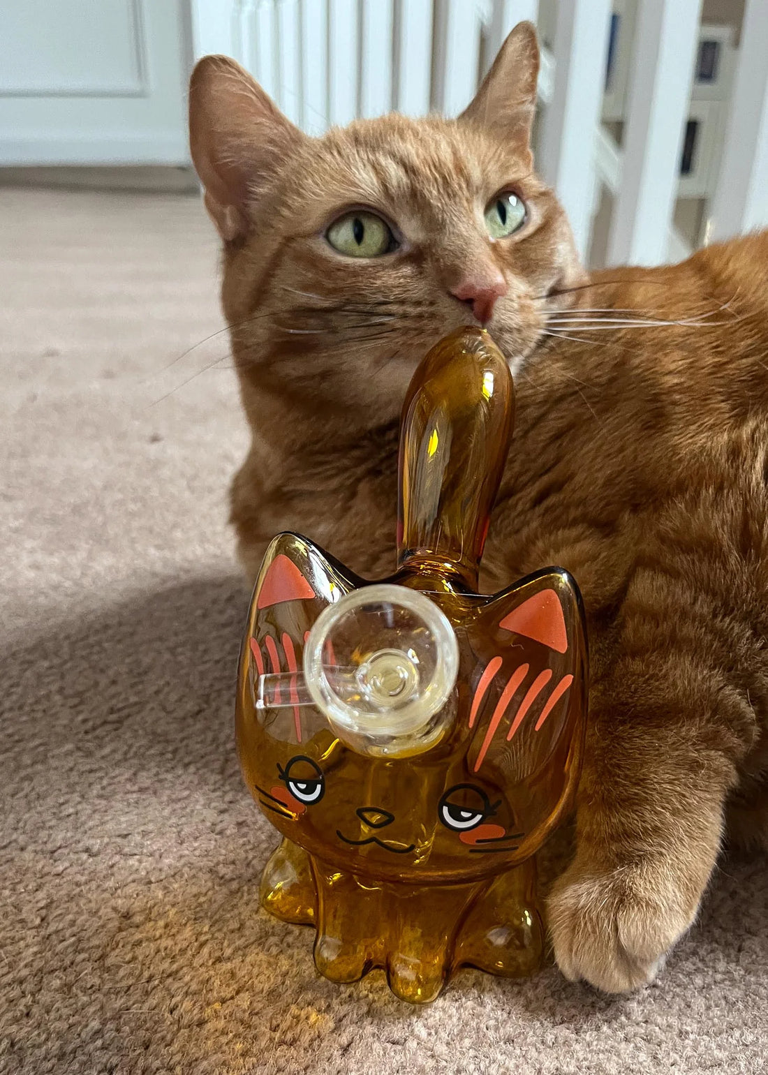 Cannacat Bubbler - Orange