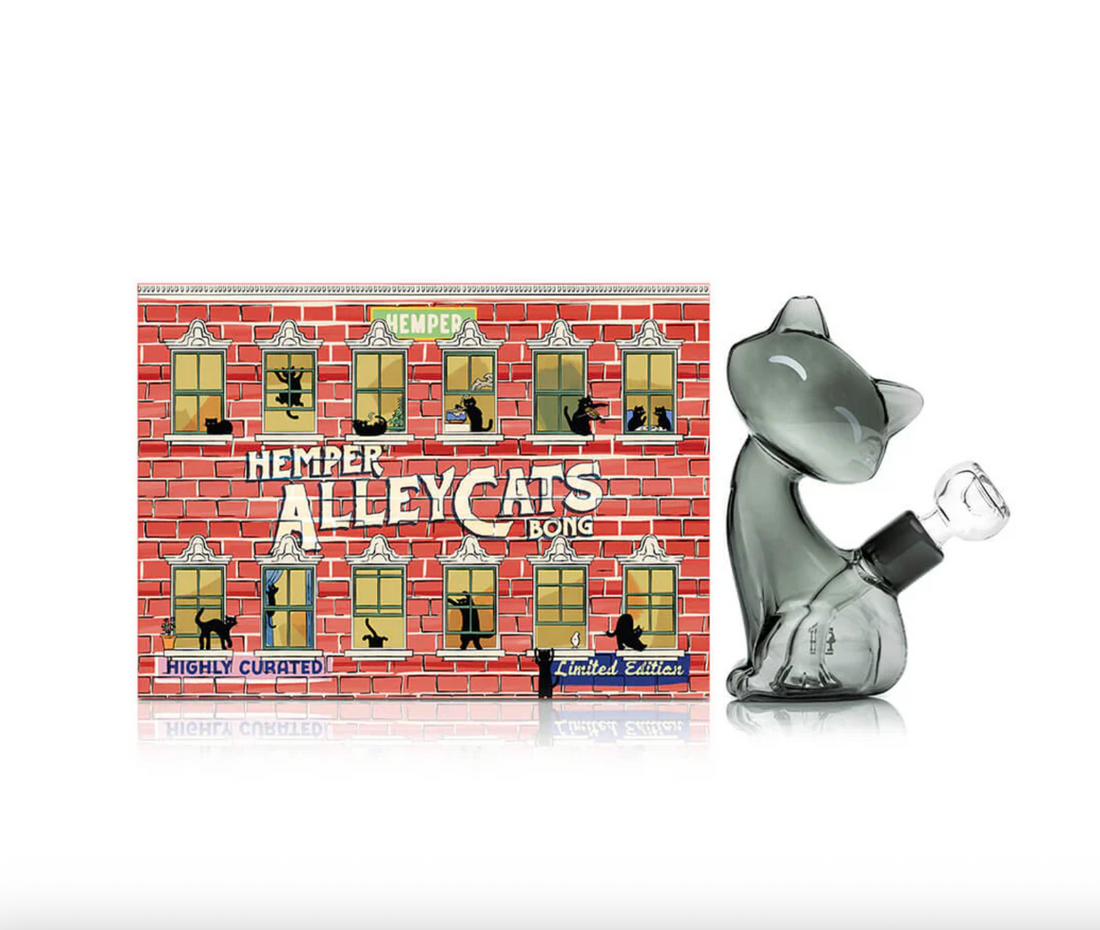 6 inch Hemper alley cat borosilicate glass bong in shape of gray cat sitting bliss shop chicago