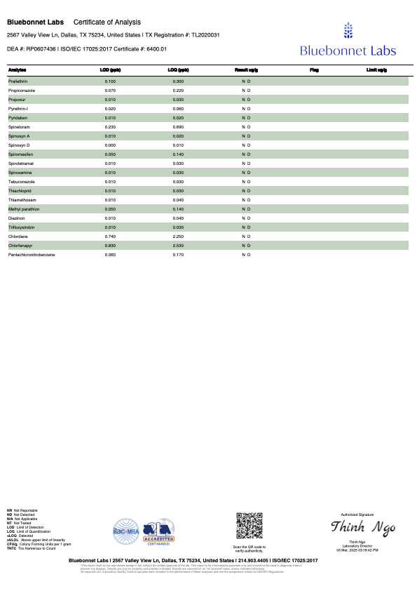 Blue Raspberry Hemp Delta-9 Gummies - Indica