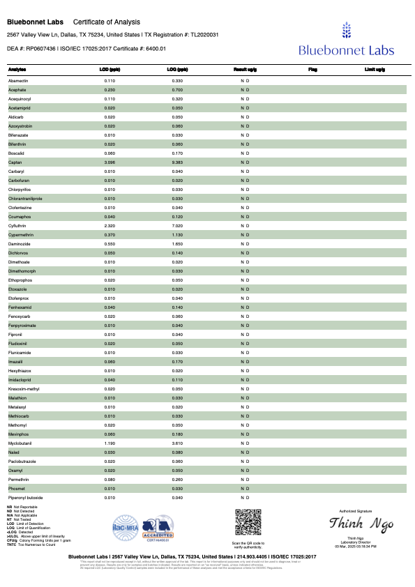Watermelon Hemp Delta-9 Gummies - Hybrid