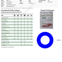 Watermelon Hemp Delta-9 Gummies - Hybrid