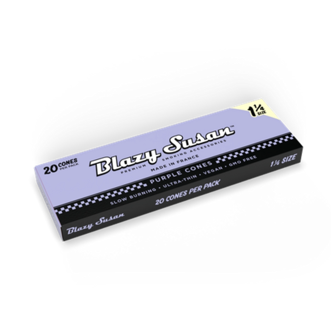 blazy susan 20 pack 1 1/4 purple cones bliss shop chicago