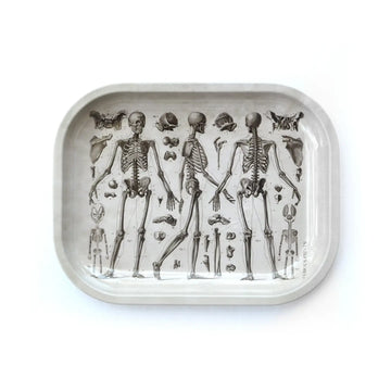 curious prints small 5 by 7 inch metal rolling tray vintage skeleton diagram bliss shop chicago