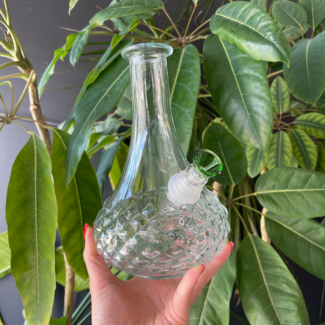 8.25 inch borosilicate vintage wine decanter style bong with matching mouthpiece gasket bliss shop chicago
