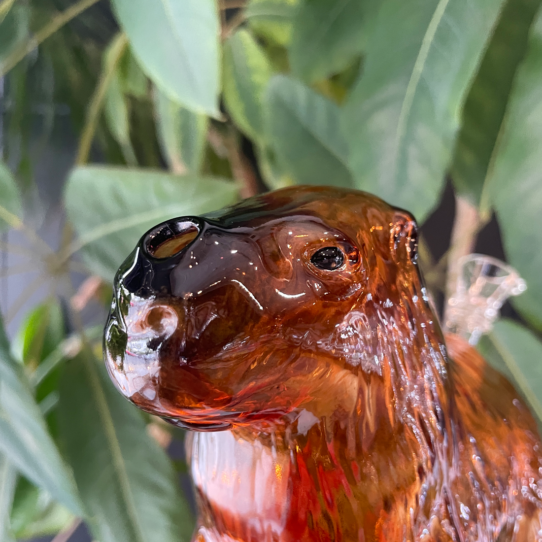 7.5 inch capybara shaped and designed glass bong bliss shop chicago