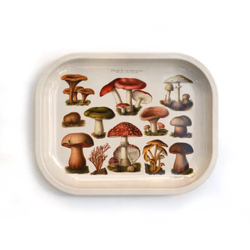 curious prints 7 by 5 inch metal rolling tray with vintage fungi design bliss shop chicago