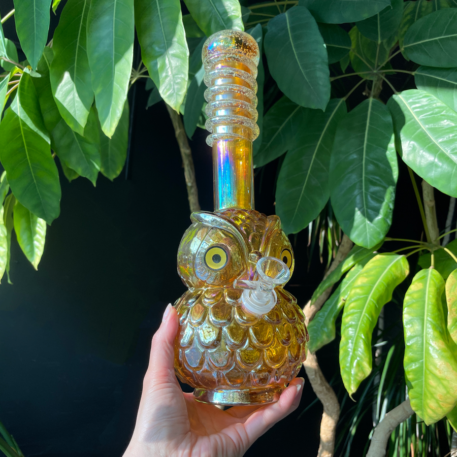 13 inch soft glass gold owl bong bliss shop chicago