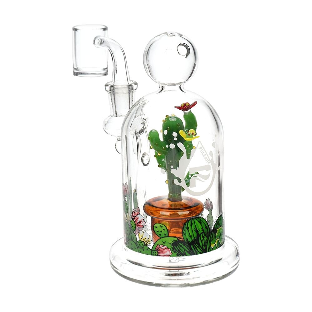 6 inch Pulsar Cactus Terrarium dome shaped rig with 14mm male quartz banger bliss shop chicago