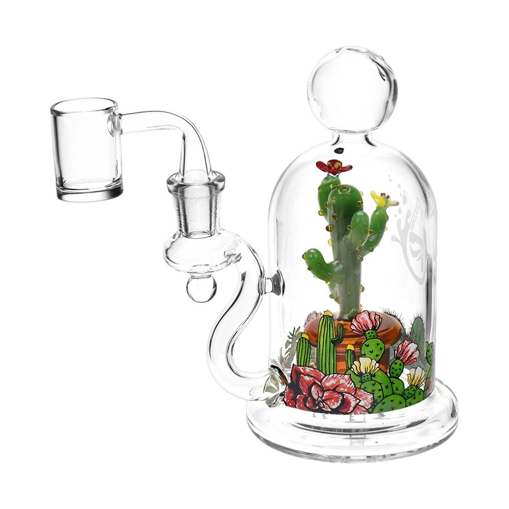 6 inch Pulsar Cactus Terrarium dome shaped rig with 14mm male quartz banger bliss shop chicago