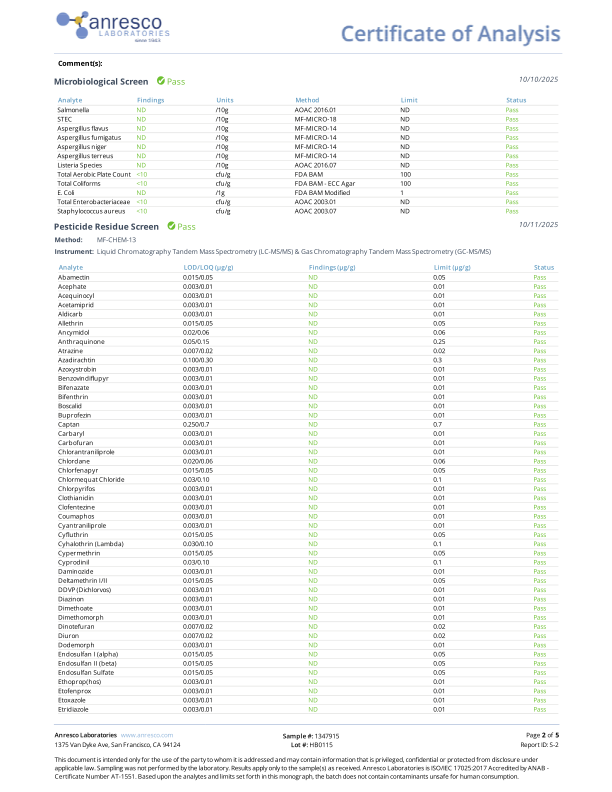 Huckleberry CBD Gummies (THC-Free, Vegan) - 3 Sizes