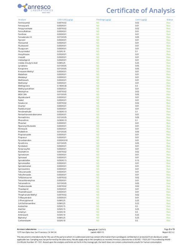 Huckleberry CBD Gummies (THC-Free, Vegan) - 3 Sizes