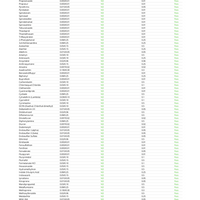 Raspberry CBD Gummies (THC-Free, Vegan) - 3 Sizes
