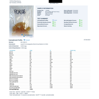 CBD + CBC Peach Gummies For Mood